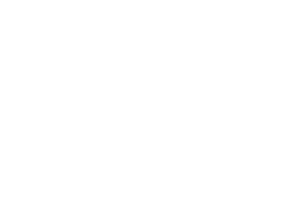 Connections Network Logo White
